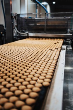 Tatlı yiyecek ve kurabiye üretimi için büyük bir fabrika hattı. Endüstriyel üretim sürecinin yakın çekim görüntüleri.