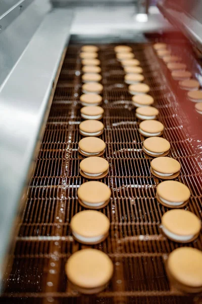 Huge factory line for sweet food and cookies production. Close up shots of industrial chocolate glazing process.