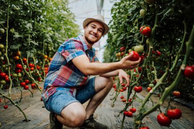 Happy and smiling young adult man working in greenhouse. Small food production business concept.