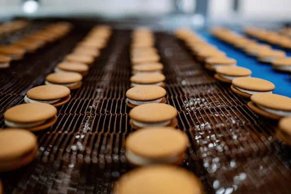 Ogromna Linia Fabryczna Produkcji Słodkiej Żywności Ciasteczek Zbliżenie Ujęcia Przemysłowego — Zdjęcie stockowe