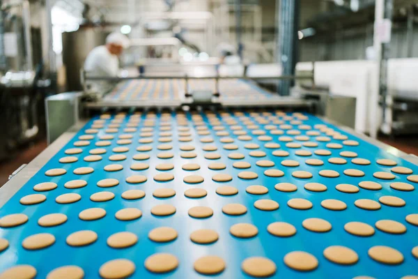 Ogromna Linia Fabryczna Produkcji Słodkiej Żywności Ciasteczek Zbliżenie Ujęć Procesu — Zdjęcie stockowe