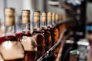 Sanayi şarabı şişeleme fabrikası teması. İçki şişeleme ve paketleme için modern sanayi üretim hattı. 