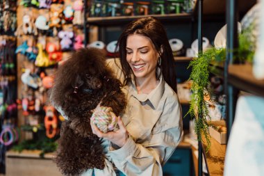 Güzel genç bir kadın, sevimli kahverengi oyuncak kanişiyle modern evcil hayvan dükkanında eğleniyor.. 