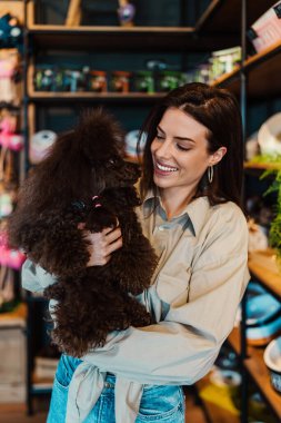 Güzel genç bir kadın, sevimli kahverengi oyuncak kanişiyle modern evcil hayvan dükkanında eğleniyor.. 
