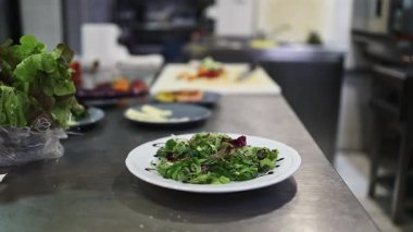 Lokanta mutfağında çalışan profesyonel aşçıların yakın çekimleri. O, balık ve deniz ürünleriyle sağlıklı lezzetli yemekler hazırlar..