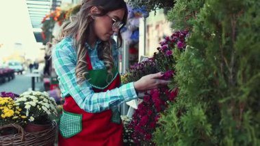 Çiçekçi olarak çalışan genç ve güzel bir kadın. Küçük işletme kavramı.