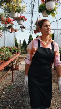 Profesyonel sera işçisi dikkatlice kırmızı çiçekli renkli asma sepetleri ve ticaret ortamında canlı çiçeklenme bitkilerini düzenliyor.