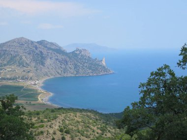 Bahar çiçekleri, çiçek kavramı