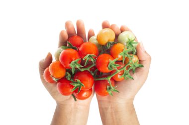 Beyaz arka planda izole edilmiş taze domates tutan kadın, çiğ yiyecek.