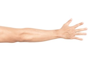 Man arm with blood veins on white background, health care and medical concept clipart