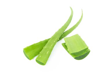 Aloe Vera, beyaz arka planda, bitki ve tıbbi malzemelerle izole edilmiş.