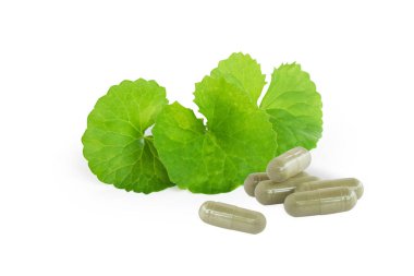 Gotu kola 'nın yakın çekim yaprağı, Asya pennywort' u, beyaz arka planda Hint pennywort 'u, bitki ve tıbbi konsept, seçici odak