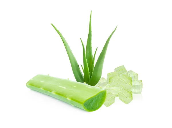 Aloe Vera Szelet Elszigetelt Fehér Alapon Gyógynövény Orvosi — Stock Fotó