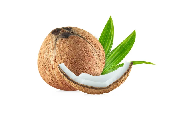 白い背景で隔離の葉とココナッツ — ストック写真