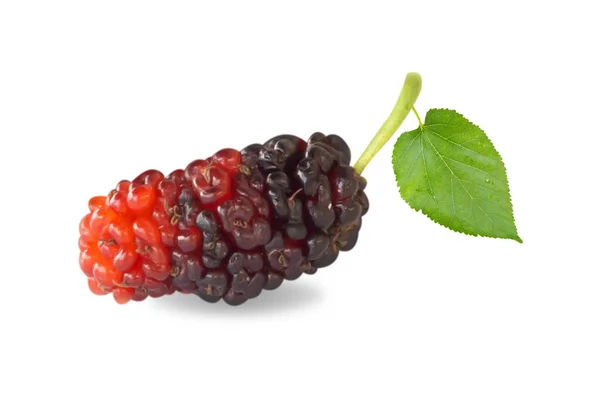 Färsk Mullbär Frukt Isolerad Vit Bakgrund — Stockfoto