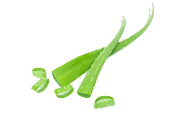 Aloe Vera Foglie Pianta Isolate Sfondo Bianco Erba Concetto Medico — Foto Stock