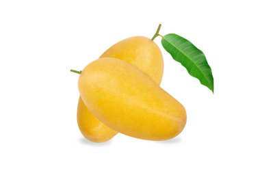 Yakın çekim olgun mango tropikal meyve yaprakları beyaz arka planda izole
