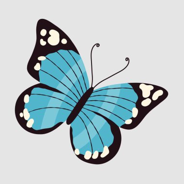 Koyu çizgili ve beyaz noktalı mavi parlak kelebek. Böcek ikonu tasarımı.