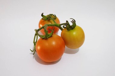 Beyaz arkaplanı olan domates meyvesi