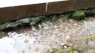 Yağmur suyu kanalizasyona akıyor.