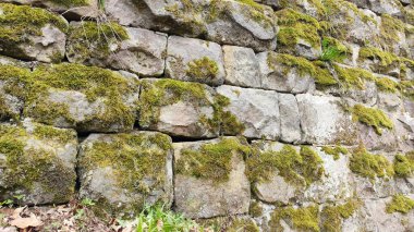 Yeşil yosunlu taş duvarlar