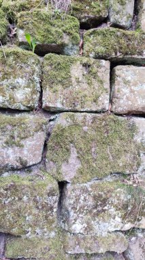 eski taş duvar arkaplanı