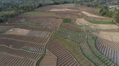 Endonezya 'da bir köyde bulunan teraslı pirinç tarlalarının hava manzarası.