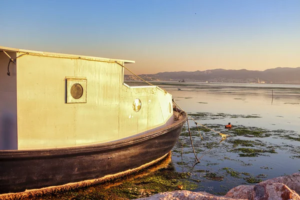 Gün batımında yüzeye deniz salatalarıyla demir atmış bir tekne.