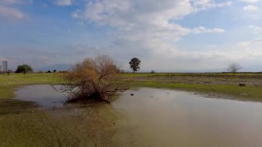 İzmir, Mavisehir 'de bir çayırın ortasındaki su birikintisi manzarası