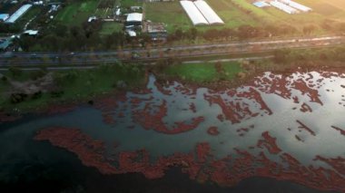 Günbatımında Inciralti Ormanı 'ndaki flamingo habitatının havadan panoramik görüntüsü. Çiftlikler ve İnciralti yolu..