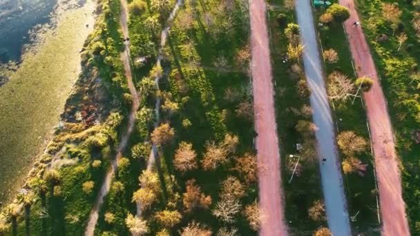 Günbatımında Kırmızı Yaya Köprüsü Olan Inciralti Şehir Ormanı Nın Hava — Stok video