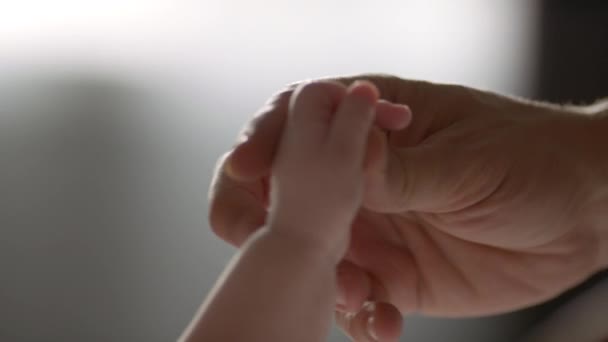 Vater Und Neugeborenes Elternhaus Hand Hand Zeitlupe Elternschaft Vaterschaft Hand — Stockvideo