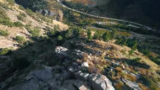 Rocky Mountain Rush Fpv Drone Καταδύσεις Ανάμεσα Δέντρα Πλάνα Fpv — Αρχείο Βίντεο