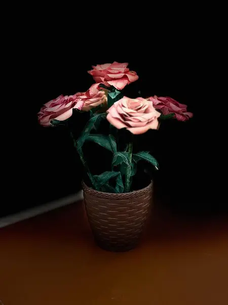 Bir saman vazosundaki güllerin zarif bir düzenlemesi, koyu arkaplanda duran açık ve koyu pembe de dahil olmak üzere çeşitli renklerde canlı yapraklar. Yumuşak ışıklandırma çiçeklerin güzelliğini ortaya çıkarır & # 39; ayrıntıları, romantik ve s