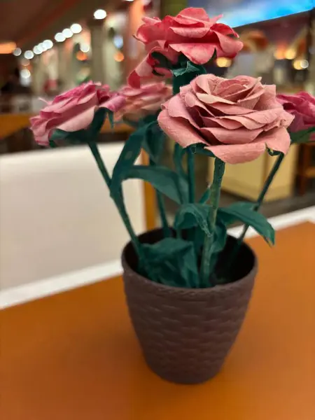 Bahçedeki güzel çiçekler