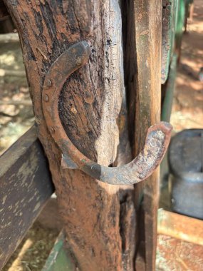 Paslı bir metal kanca, eski bir ahşaba bağlanmış, kırsal alanda zaman içinde kullanıldığını gösteren, ahşabın kırsal güzelliğini ve doğal dokusunu sergiliyor..