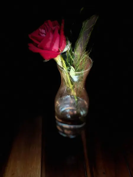 Arkasından hafifçe aydınlatılan cam vazodaki tek bir kırmızı gül, canlı yaprakları ve yeşil yaprakları aydınlatıyor. Koyu arkaplan çarpıcı bir zıtlık yaratır, çiçeğin güzelliğini ve basitliğini vurgular, romantizm ve dinginliği çağrıştırır..