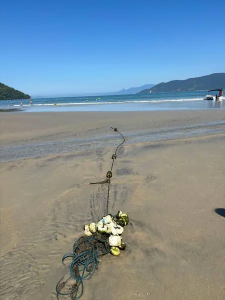 Güneşli bir sahilin sakin bir görüntüsü, siyah ipler yeşil ve beyaz kayalarla kısmen sığ sulara gömülü. Ufuk, berrak mavi gökyüzünün altındaki dağlık bir sahili gözler önüne seriyor. Huzuru ve doğayla bağlantıyı çağrıştırıyor..