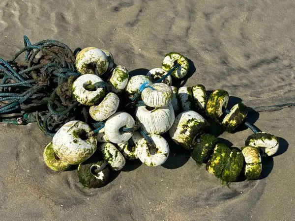 Yosun ve kirle kaplı, iplerle karıştırılmış, güneşin altında kumlu bir sahilde dinlenen bir şamandıra koleksiyonu. Görüntü doğanın dayanıklılığını ve insan ile deniz arasındaki bağı çağrıştırıyor..