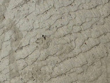 Kumun yakın çekimi, büyüleyici doğal işaretler gösteriyor. Işık, yüzeye nazikçe yansıyarak, doğaya bir sükunet ve bağlantı hissi uyandıran zengin dokuyu ve ince detayları ortaya çıkarır..