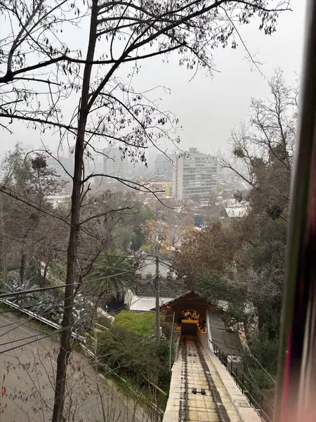 Modernliğin doğayla buluştuğu şehrin çarpıcı manzarası. Ön planda, kurak ağaçlarla çevrili gür bir tepeden bir merdiven iniyor ve bulutlu bir gökyüzünün altında kentsel binalar inşa ediliyor. Sahne, Urba 'nın ortasındaki sükuneti ve iç gözlemi çağrıştırıyor.