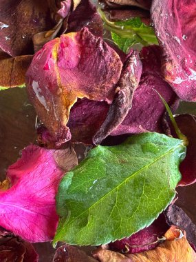 Pembe ve mor tonlarında çiçek yapraklarının güzel bir kompozisyonu, sulu bir arka planda yeşil yapraklarla karıştırılmış. Görüntü huzuru ve tazeliği çağrıştırıyor, doğanın narin özünü yakalıyor. Işık, suyun yüzeyine hafifçe yansıyor.