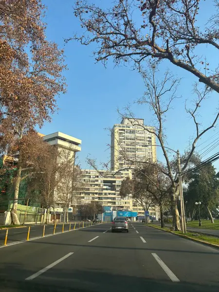 Açık ve güneşli bir günde, yanında kuru ağaçlar olan kentsel bir caddenin huzurlu bir şekilde ele geçirilmesi. Modern binalar metropoliten bir atmosferi yansıtıyor, bir huzur hissi yaratıyor..