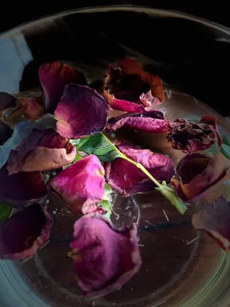 Cam bir kasede kurumuş gül yapraklarının güzel bir düzenlemesi. Mor ve pembe tonlardaki narin taç yaprakları koyu arkaplanla yavaşça zıtlaşır, nostalji hissi uyandırır ve geçici bir güzelliği anımsatır..