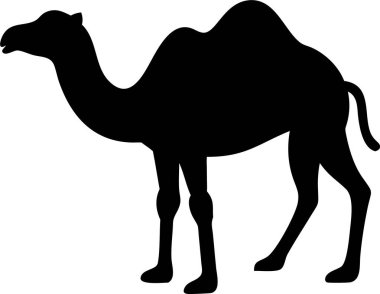 Deve ikonu silueti. Basit bir Deve Silueti. Cesur, siyah bir deve silueti. Eğitici malzemeler, çocuk kitapları ya da genel çöl temalı tasarımlar için mükemmel..