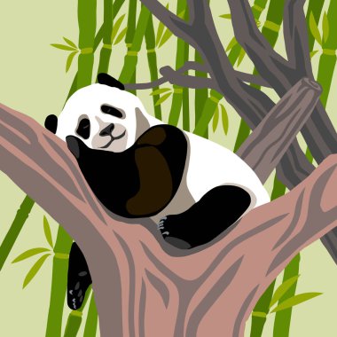Bambu ormanındaki bir ağaç dalında dinlenen gevşemiş dev bir panda. Bu stilize vektör illüstrasyonu pandaların sakin doğasını vurgular, onu barış, vahşi yaşam ve korunmanın bir sembolü yapar..