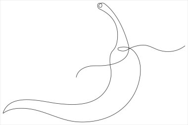 Stil vektör illüstrasyonunun aralıksız bir çiziminde acı baharat biberi