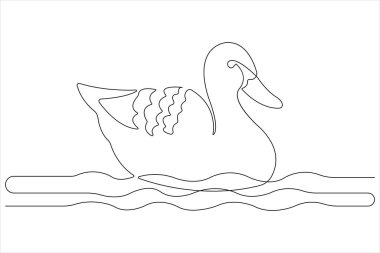 Evcil hayvan ördeği, su kuşu çiziminin kesintisiz bir çizimi.