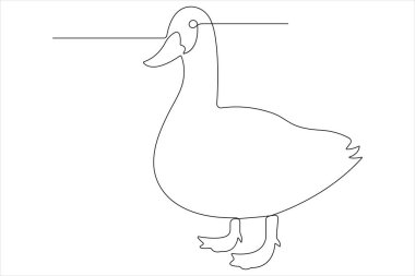 Evcil hayvan ördeği, su kuşu çiziminin kesintisiz bir çizimi.