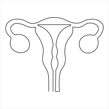  Aralıksız bir çizim ve kadın gündüz ana hatlı vektör çizimi. Kadın üreme rahim çizimi.